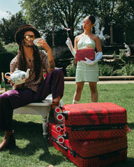 VENI VIDI VICI LUGGAGE